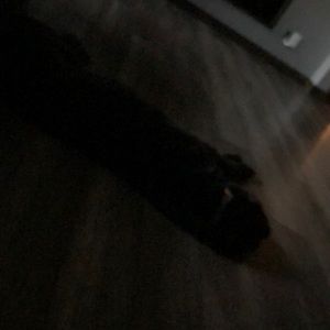 Meet your Posher, Val